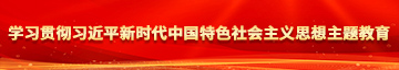 大鸡巴啪啪啪大全网络学习贯彻习近平新时代中国特色社会主义思想主题教育
